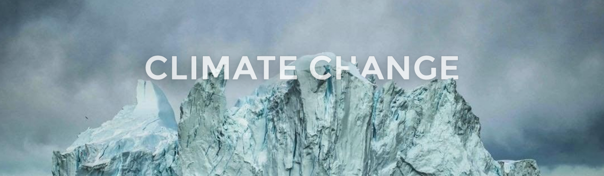 I dati (molto) preoccupanti del climate change - YouTrend